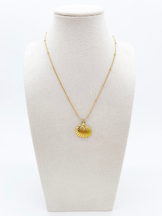 COLLAR CONCHA