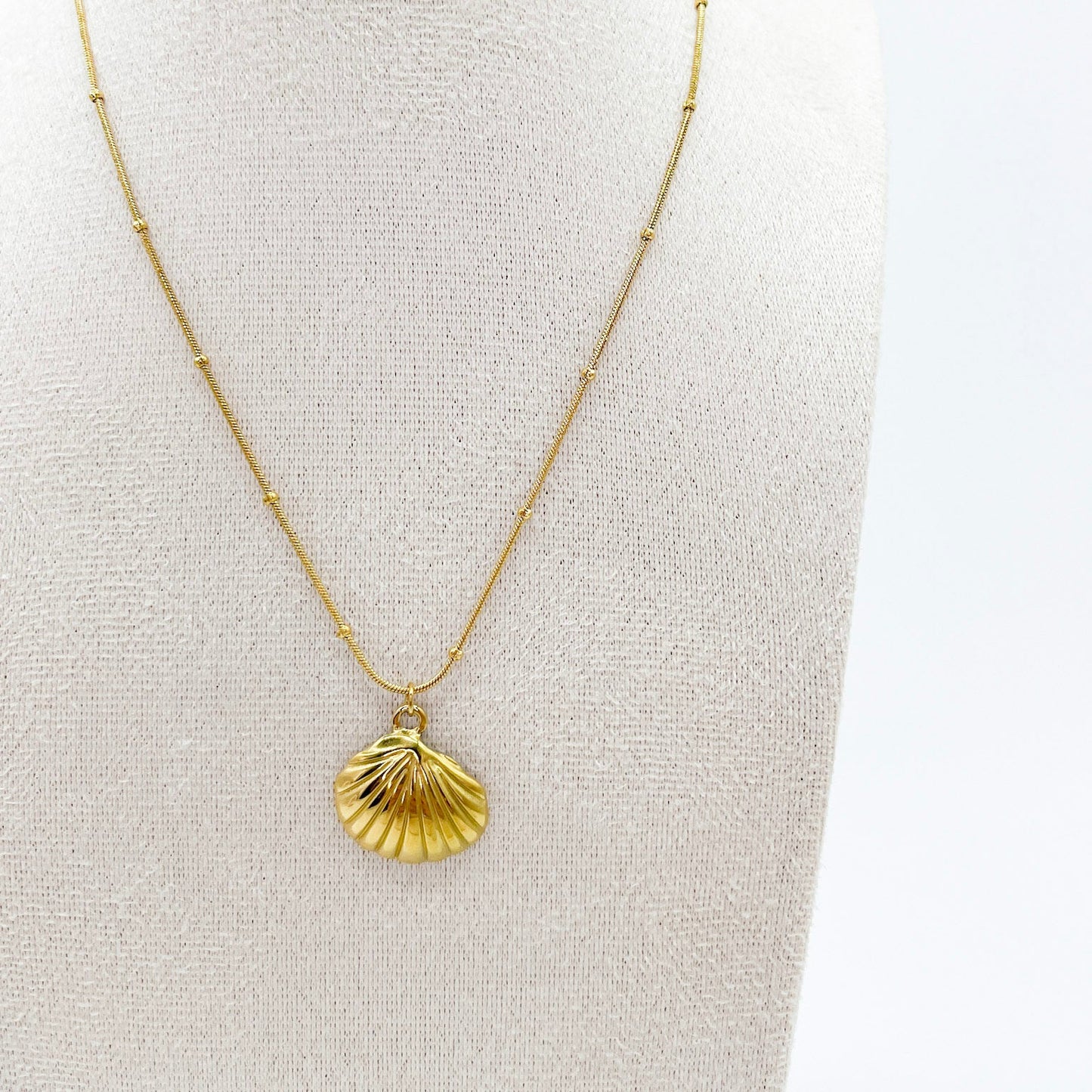 COLLAR CONCHA